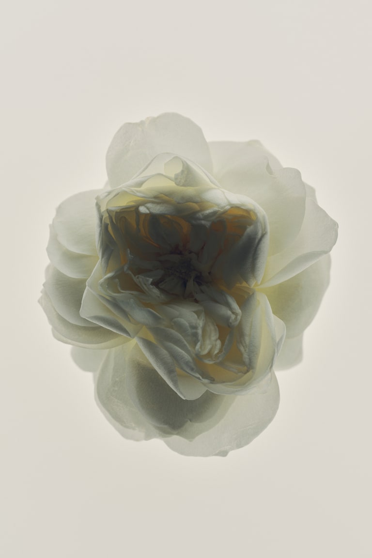 H&M Eau de Toilette Clearance-Verkauf